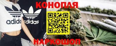 сатива Краснодар