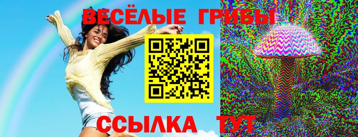 Галлюциногенные грибы мицелий Урус-Мартан