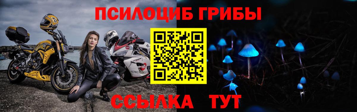 Галлюциногенные грибы ЛСД  Псилоцибиновые грибы мицелий  Урус-Мартан  Вход с VPN 
