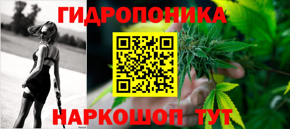 Бошки марихуана семена Урус-Мартан